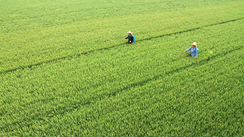 1645415190179562.png image.png