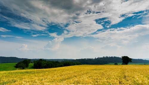 1646982877131575.png image.png