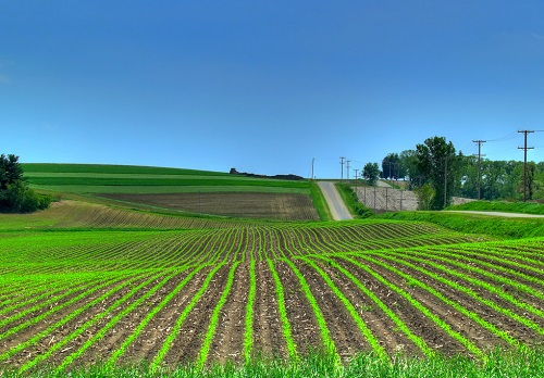 1651730425212282.png image.png