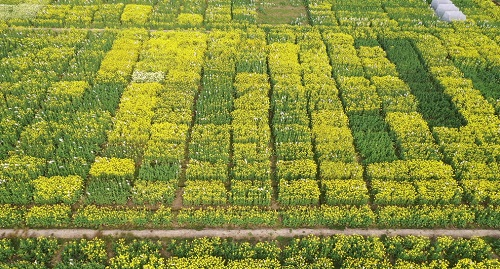 1652324167415207.png image.png