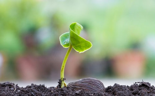 1654493834327058.png image.png