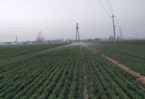 1654742839168288.png image.png