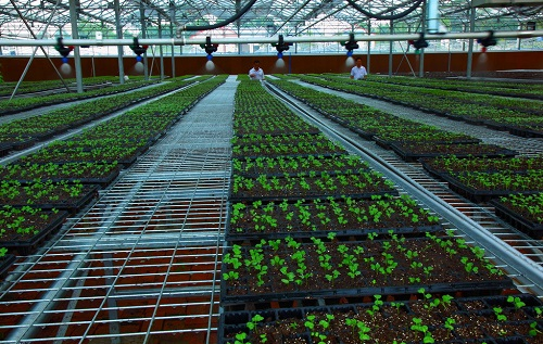 1657856264190336.png image.png