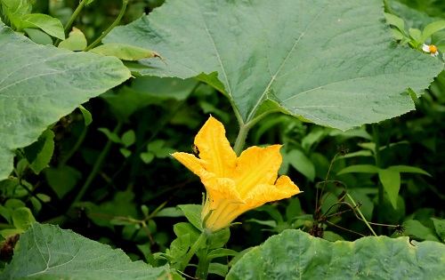 1662359761208040.png image.png