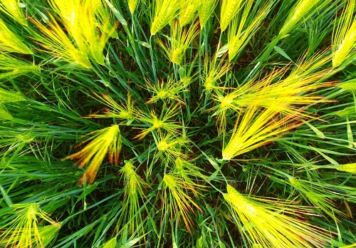 1664170690558105.png image.png