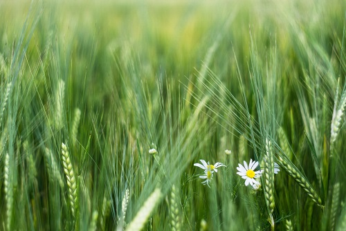 1665208060192047.png image.png