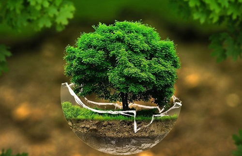 1667972120210875.png image.png