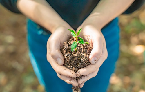 1671520885135422.png image.png