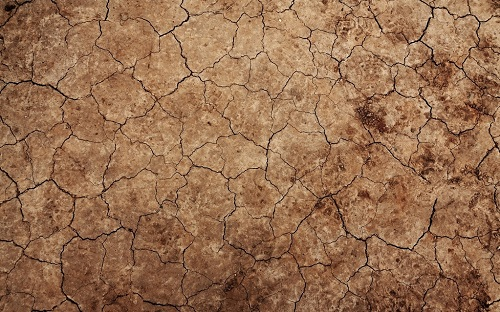 1677651720163527.png image.png