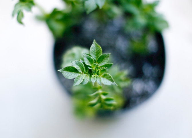 1680076263951842.png image.png