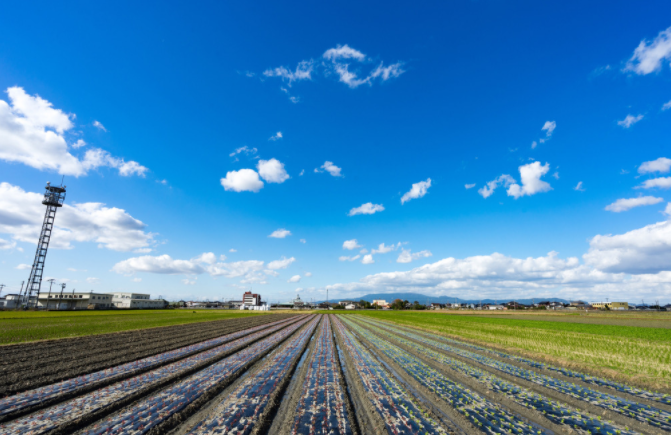 1682214679177258.png 土壤墑情檢測儀